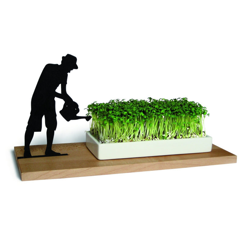 Side by Side Kresseschale Gärtner mit Saatset Kresse