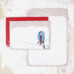 Bow & Hummingbird ökologische Grusskarte Weihnachskarte Wintergrusskarte Vogel im Schnee