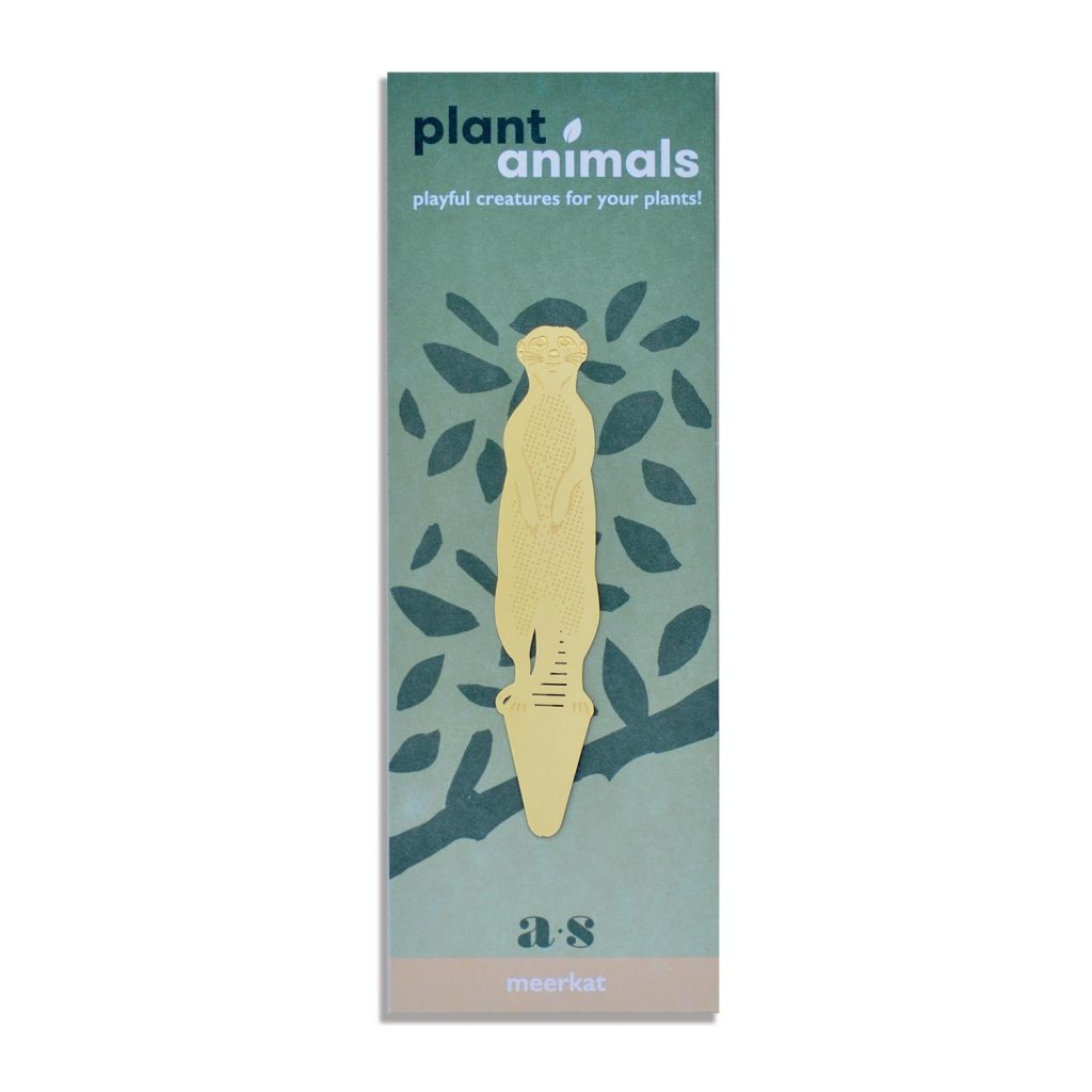 Another Studio Plant Animal Pflanzendeko Erdmännchen