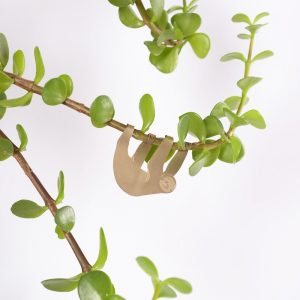 Another Studio - PLANT ANIMAL – Koala – Lilli Green Shop
