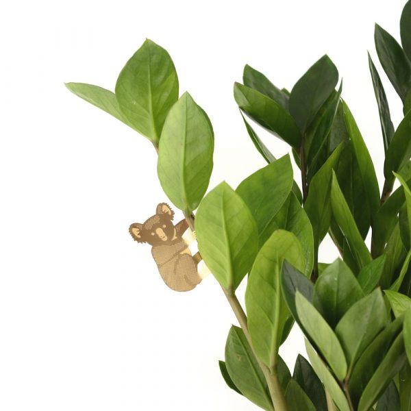 Another Studio Plant Animal Pflanzendeko aus Messing Koala