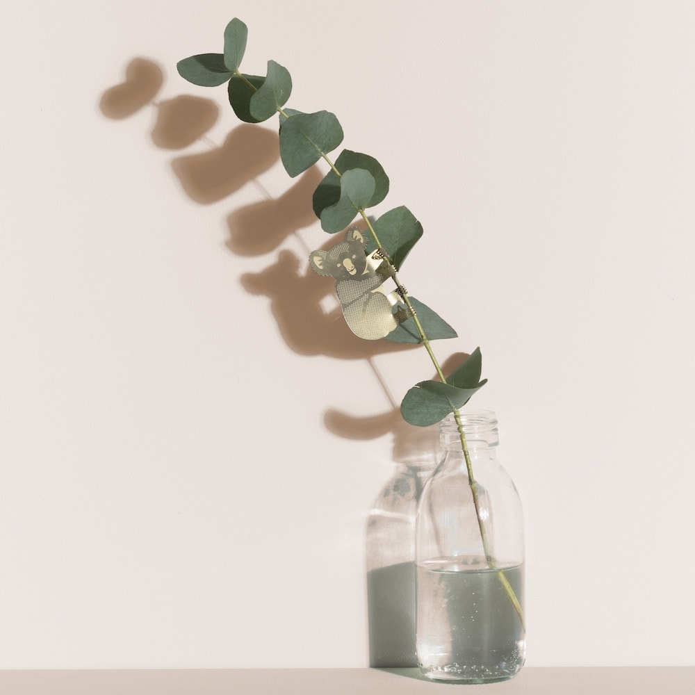 Another Studio - PLANT ANIMAL β Koala β Lilli Green Shop Another Studio - PLANT ANIMAL β Koala β Lilli Green Shop