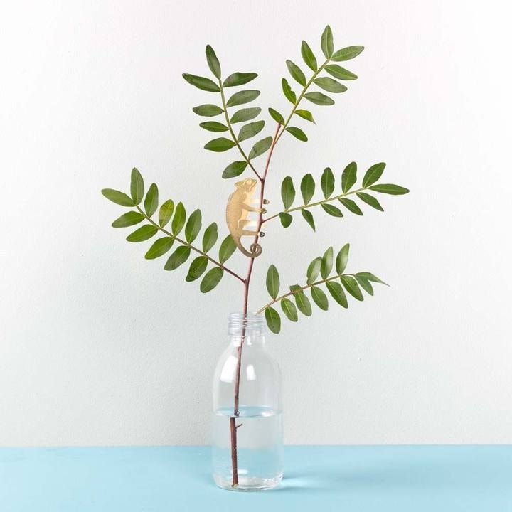 Another Studio - PLANT ANIMAL – Chameleon-3784