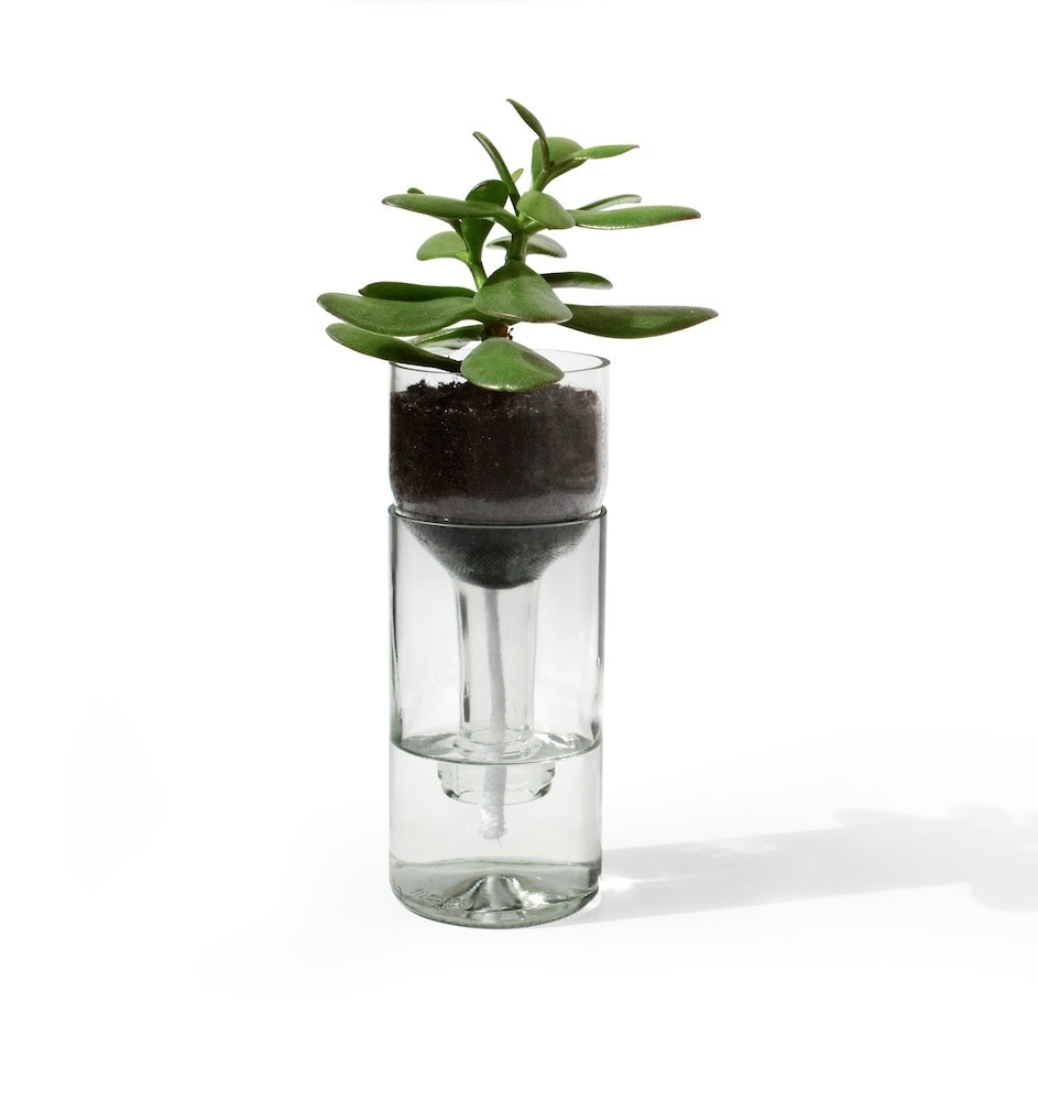 Side by Side Blumengefäß Self Watering Bottle - klar