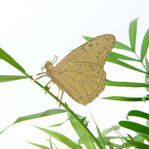 another-studio-plant-animal-schmetterling