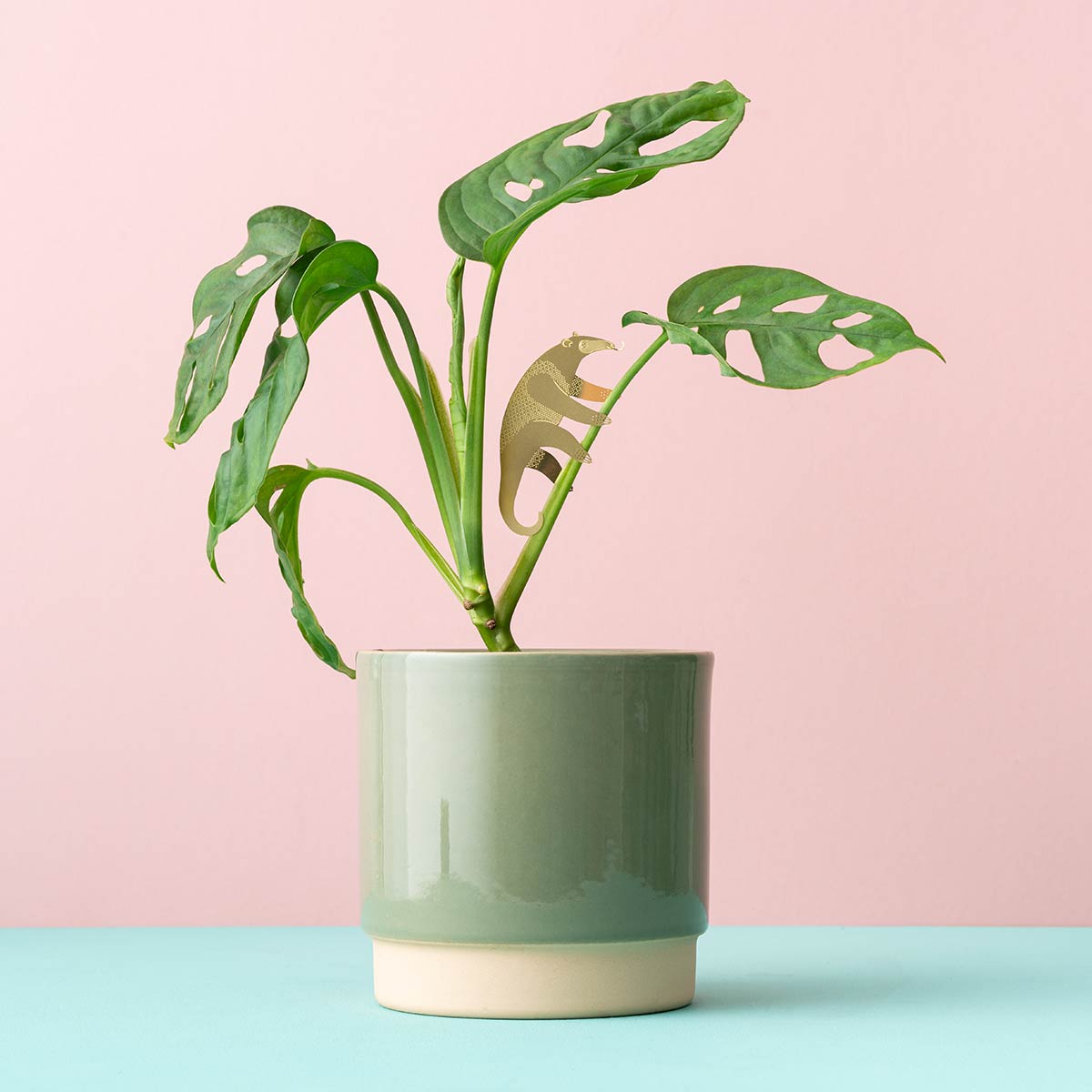 Plant Animal Ameisenbär – Pflanzendeko aus Messing auf Zimmerpflanze, verspieltes Accessoire für Urban Jungle Fans