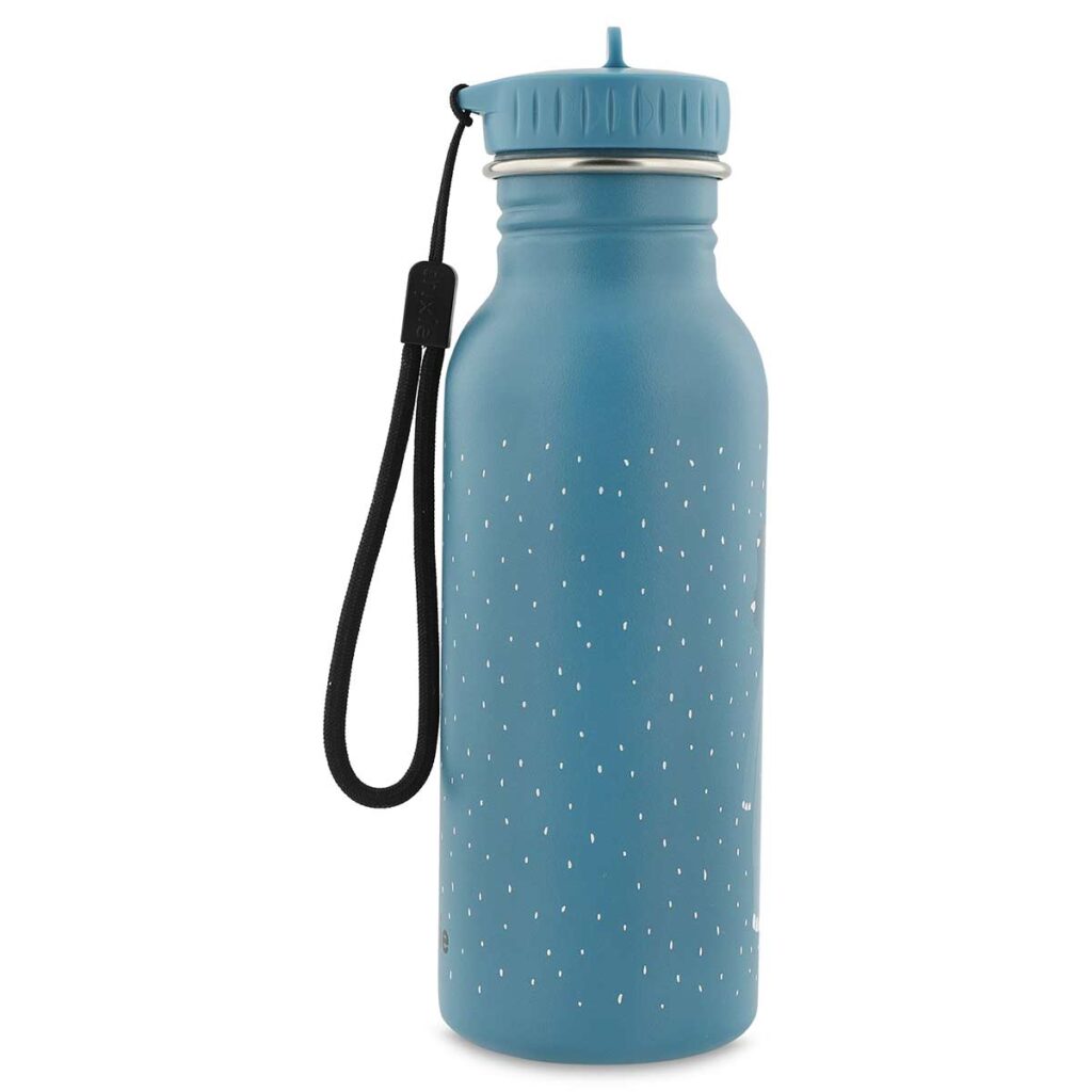 Nachhaltige Edelstahl Trinkflasche für Kinder mit Dinosaurier-Motiv, Modell Mr. Triceratops, 500ml – von Trixie