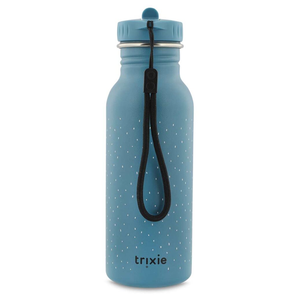 Nachhaltige Edelstahl Trinkflasche für Kinder mit Dinosaurier-Motiv, Modell Mr. Triceratops, 500ml – von Trixie