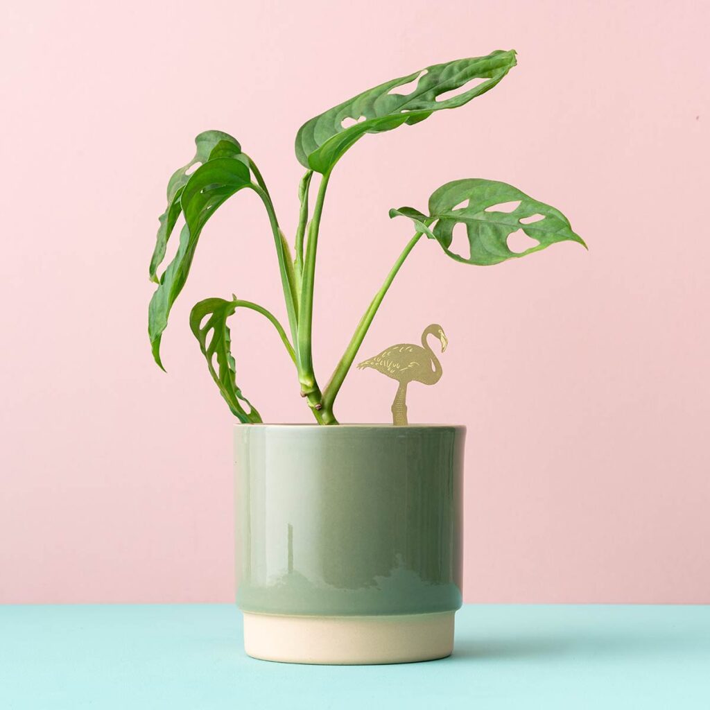 Plant Animal Flamingo – Pflanzenstecker aus Messing an Zimmerpflanze