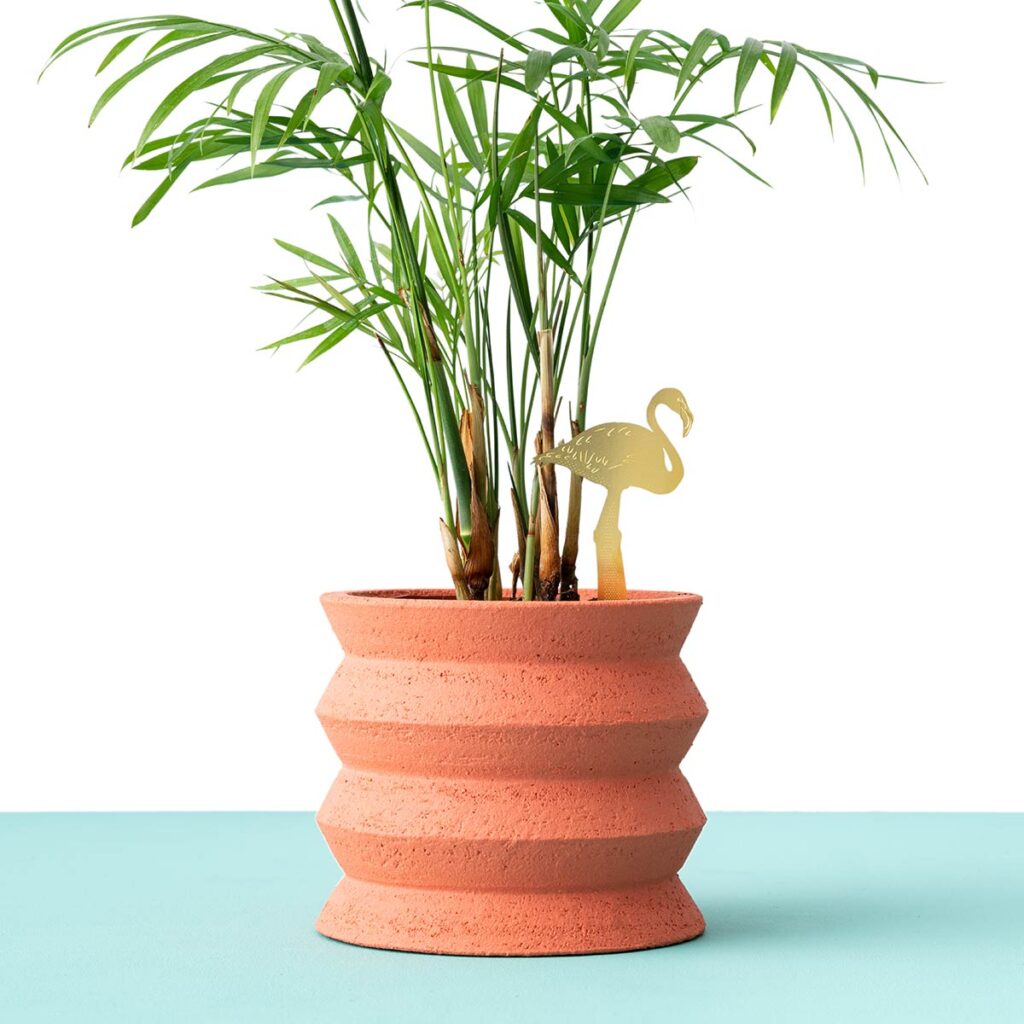 Plant Animal Flamingo – Pflanzenstecker aus Messing an Zimmerpflanze
