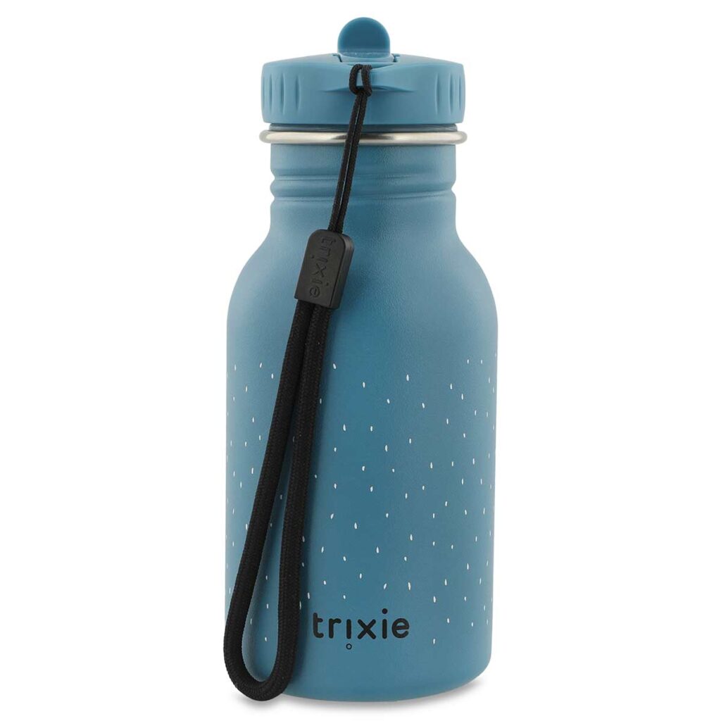 Edelstahl Trinkflasche Kinder mit Dinosaurier-Motiv – Trixie Mr. Triceratops