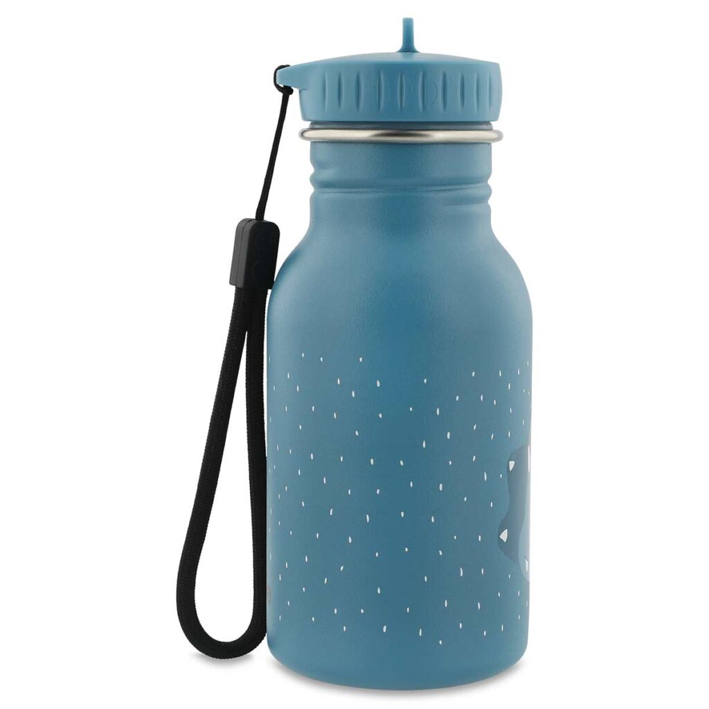 Edelstahl Trinkflasche Kinder mit Dinosaurier-Motiv – Trixie Mr. Triceratops