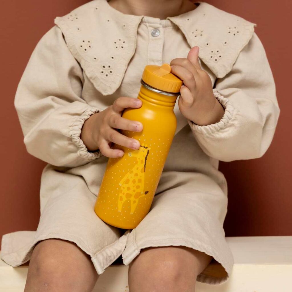 TRIXIE Edelstahl Trinkflasche für Kinder – MR. GIRAFFE